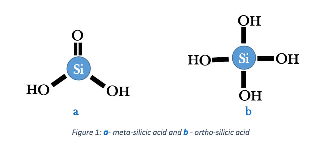 Silicate Removal By Using Ion Exchange Systems. Meta silicic acid and ortho silicic acid
