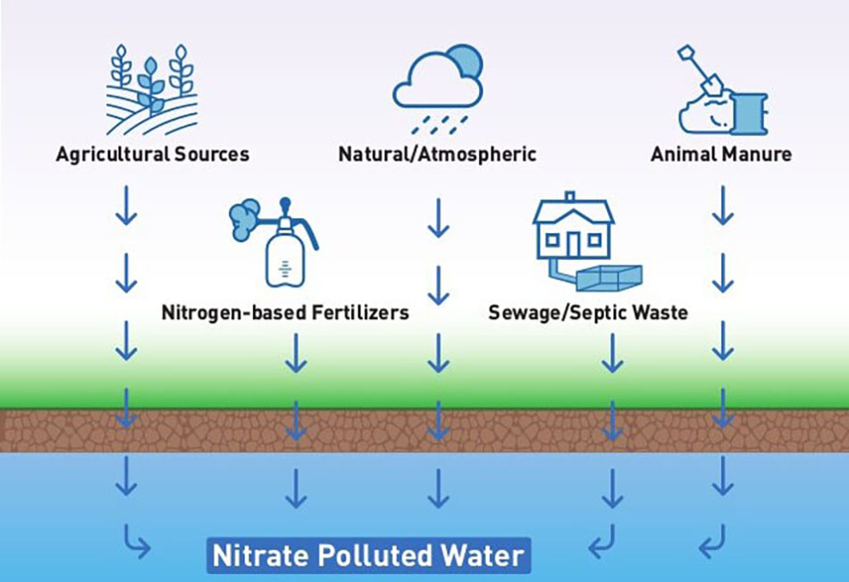Sources of Nitrates in Nature